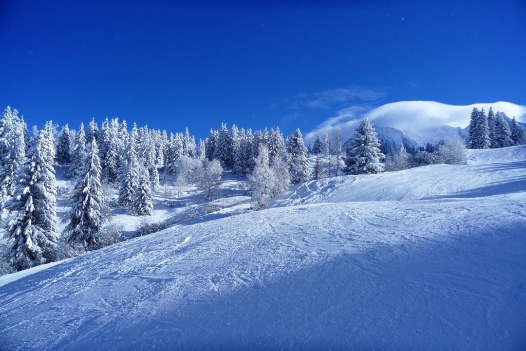 Chalet Hotel Du Bois 레우쉬 외부 사진